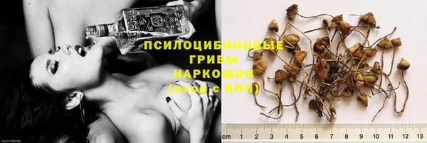 спиды Арсеньев