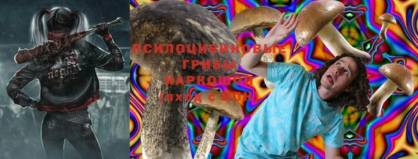 ПСИЛОЦИБИНОВЫЕ ГРИБЫ Покров