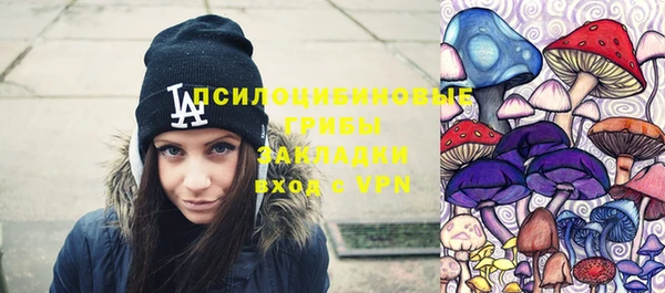 а пвп мука Аркадак
