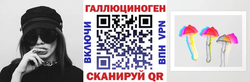kraken ссылки  Бабушкин  Псилоцибиновые грибы Magic Shrooms 