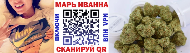 Бошки Шишки SATIVA & INDICA  где купить наркоту  Бабушкин 